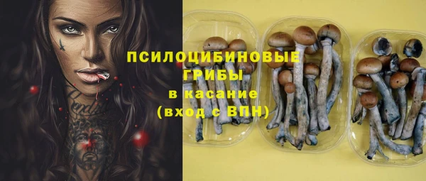 сатива Елизово