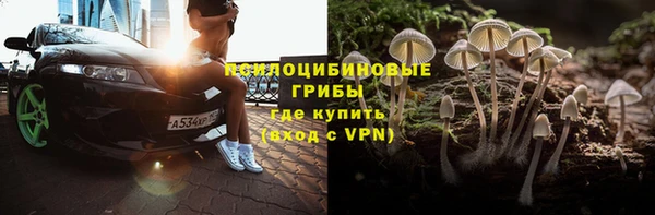 крисы Елабуга