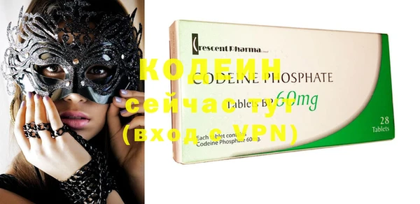крисы Елабуга