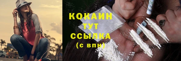 сатива Елизово