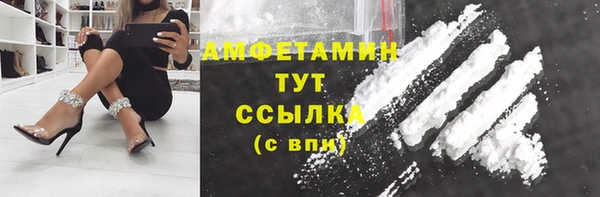 сатива Елизово