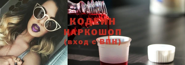 сатива Елизово