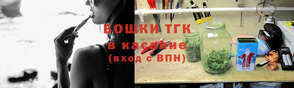 крисы Елабуга
