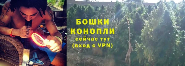 крисы Елабуга