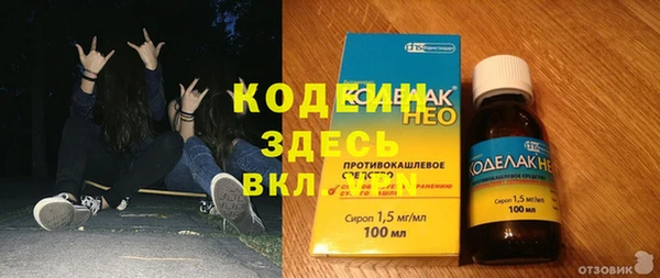 ешки Ельня
