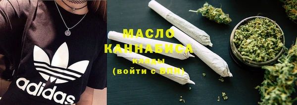 крисы Елабуга
