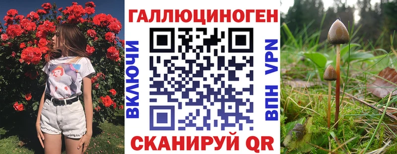 Купить где  Емва  Галлюциногенные грибы MAGIC MUSHROOMS 